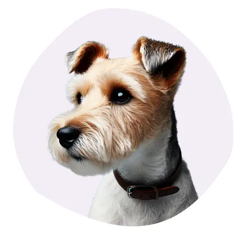 Tenterfield Terrier